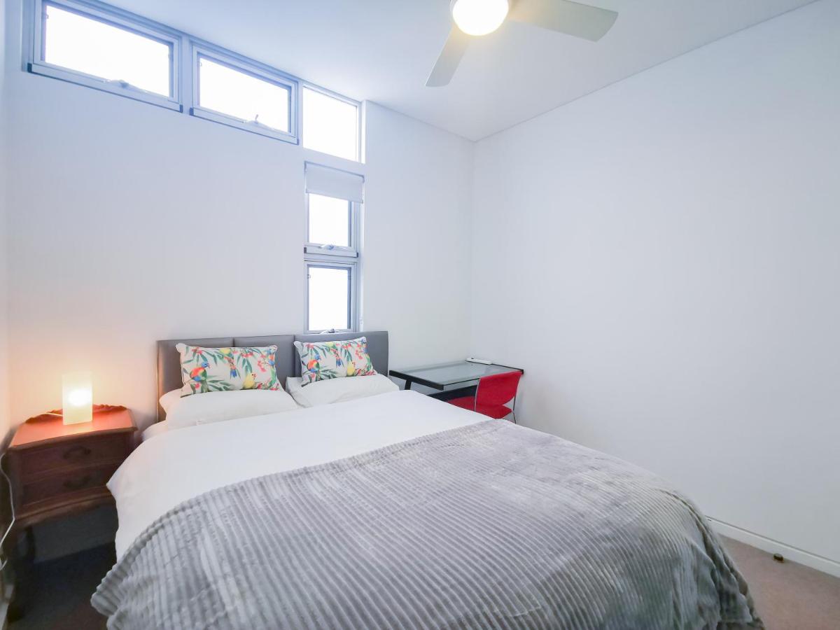 Glebe House Homestay 悉尼 外观 照片