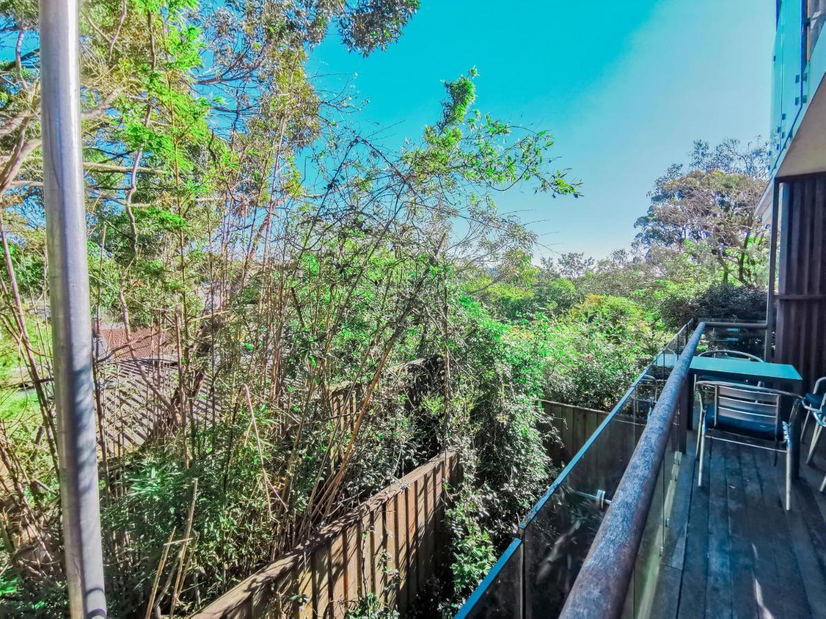 Glebe House Homestay 悉尼 外观 照片