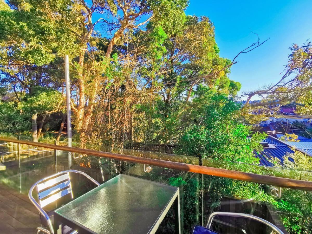 Glebe House Homestay 悉尼 外观 照片